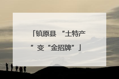 镇原县 “土特产”变“金招牌”