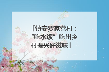 镇安罗家营村：“吃水饭”吃出乡村振兴好滋味