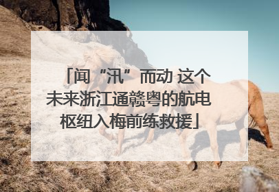 闻“汛”而动 这个未来浙江通赣粤的航电枢纽入梅前练救援