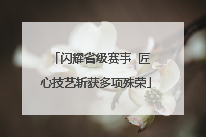 闪耀省级赛事  匠心技艺斩获多项殊荣