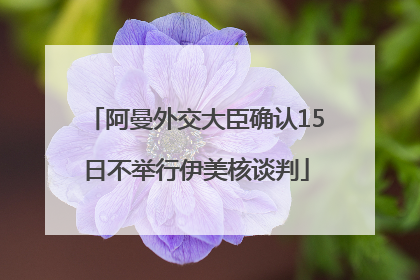 阿曼外交大臣确认15日不举行伊美核谈判