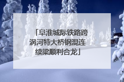 阜淮城际铁路跨涡河特大桥钢混连续梁顺利合龙
