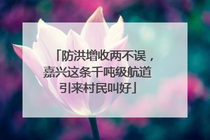 防洪增收两不误，嘉兴这条千吨级航道引来村民叫好