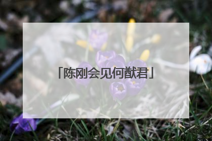 陈刚会见何猷君