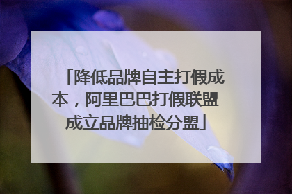 降低品牌自主打假成本，阿里巴巴打假联盟成立品牌抽检分盟