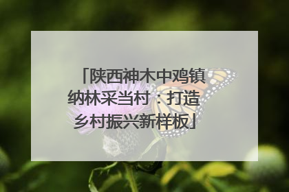 陕西神木中鸡镇纳林采当村：打造乡村振兴新样板