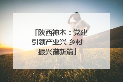 陕西神木：党建引领产业兴 乡村振兴谱新篇