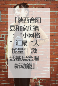 陕西合阳县和家庄镇：“小网格”汇聚“大能量” 激活基层治理新动能