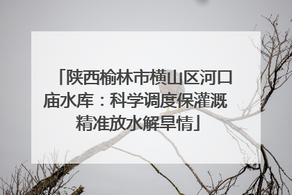 陕西榆林市横山区河口庙水库：科学调度保灌溉 精准放水解旱情
