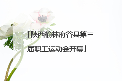 陕西榆林府谷县第三届职工运动会开幕