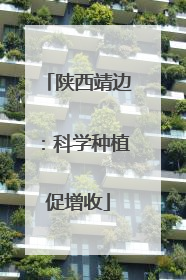 陕西靖边：科学种植促增收