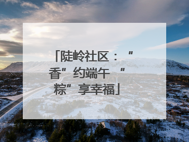 陡岭社区：“香”约端午 “粽”享幸福