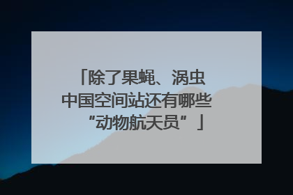 除了果蝇、涡虫 中国空间站还有哪些“动物航天员”