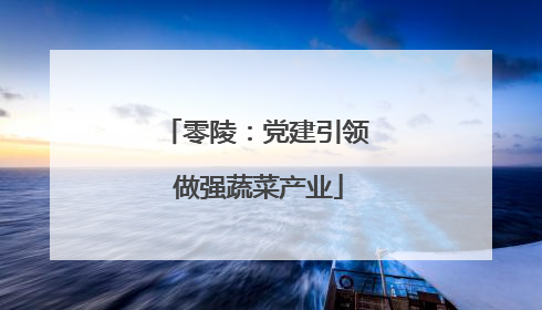 零陵：党建引领 做强蔬菜产业
