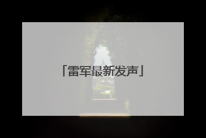 雷军最新发声