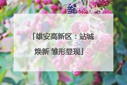 雄安高新区：站城焕新 雏形显现