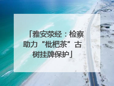 雅安荥经：检察助力“枇杷茶”古树挂牌保护