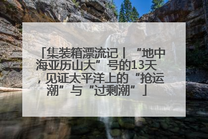 集装箱漂流记丨“地中海亚历山大”号的13天，见证太平洋上的“抢运潮”与“过剩潮”
