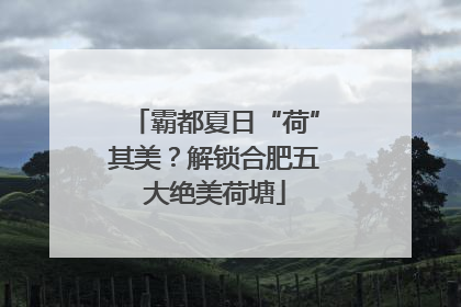 霸都夏日“荷”其美？解锁合肥五大绝美荷塘