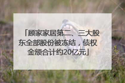顾家家居第二、三大股东全部股份被冻结，债权金额合计约20亿元