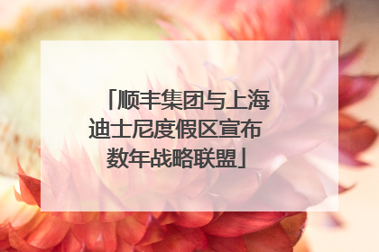顺丰集团与上海迪士尼度假区宣布数年战略联盟