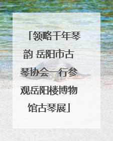 领略千年琴韵 岳阳市古琴协会一行参观岳阳楼博物馆古琴展