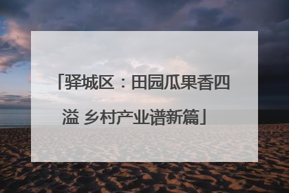 驿城区：田园瓜果香四溢 乡村产业谱新篇