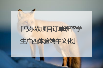 马东铁项目订单班留学生广西体验端午文化