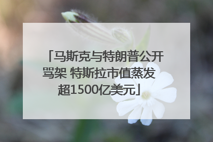 马斯克与特朗普公开骂架 特斯拉市值蒸发超1500亿美元