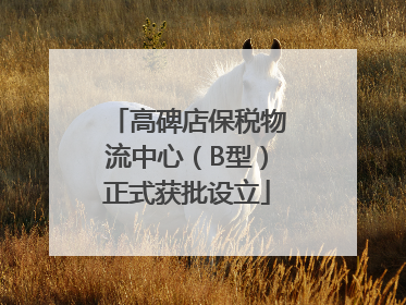 高碑店保税物流中心（B型）正式获批设立