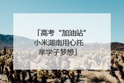 高考“加油站” 小米湖南用心托举学子梦想