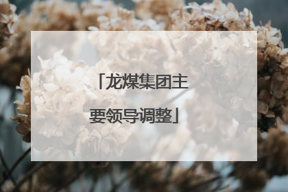 龙煤集团主要领导调整