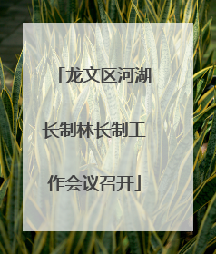 龙文区河湖长制林长制工作会议召开