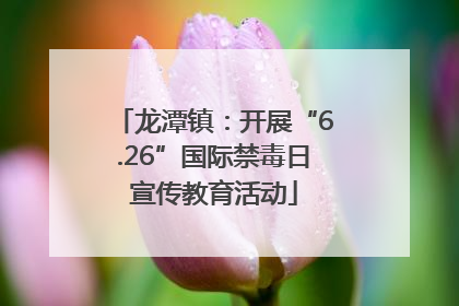 龙潭镇：开展“6.26”国际禁毒日宣传教育活动