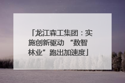 龙江森工集团：实施创新驱动 “数智林业”跑出加速度
