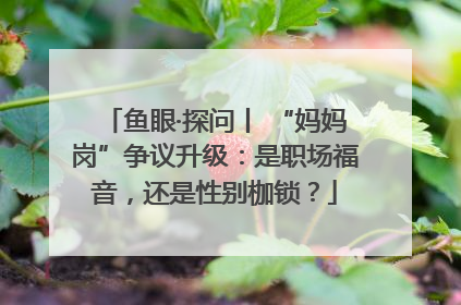 鱼眼·探问丨 “妈妈岗”争议升级：是职场福音，还是性别枷锁？