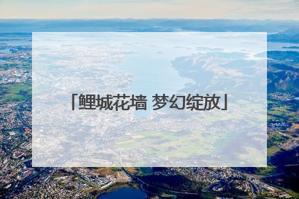 鲤城花墙 梦幻绽放