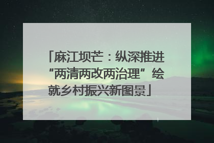麻江坝芒：纵深推进“两清两改两治理”绘就乡村振兴新图景