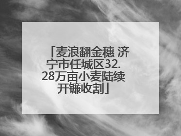 麦浪翻金穗 济宁市任城区32.28万亩小麦陆续开镰收割
