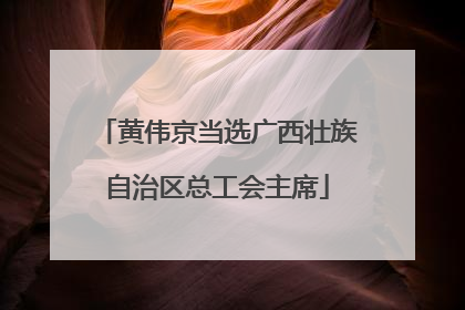 黄伟京当选广西壮族自治区总工会主席