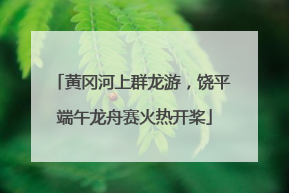 黄冈河上群龙游，饶平端午龙舟赛火热开桨