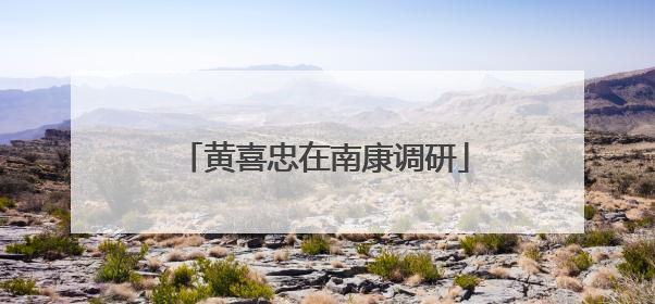 黄喜忠在南康调研