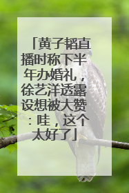 黄子韬直播时称下半年办婚礼，徐艺洋透露设想被大赞：哇，这个太好了