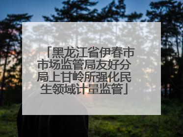 黑龙江省伊春市市场监管局友好分局上甘岭所强化民生领域计量监管