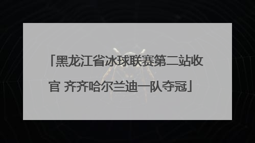 黑龙江省冰球联赛第二站收官 齐齐哈尔兰迪一队夺冠