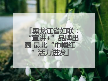 黑龙江省妇联：“宣讲+”品牌出圈 最北“巾帼红”活力迸发