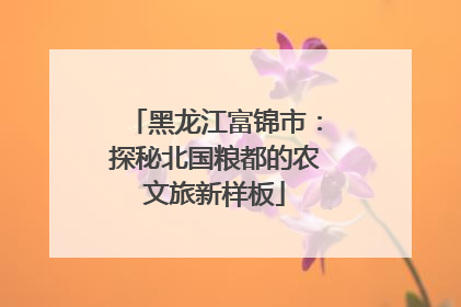 黑龙江富锦市：探秘北国粮都的农文旅新样板