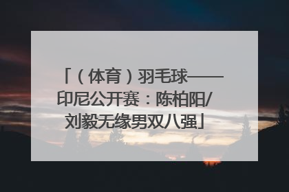 （体育）羽毛球——印尼公开赛：陈柏阳/刘毅无缘男双八强