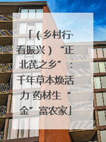 （乡村行·看振兴）“正北芪之乡”：千年草本焕活力 药材生“金”富农家