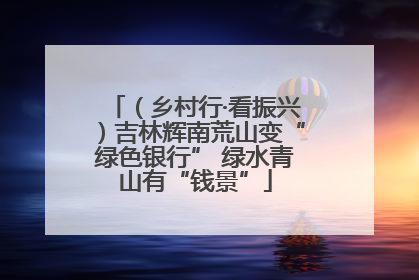 （乡村行·看振兴）吉林辉南荒山变“绿色银行” 绿水青山有“钱景”